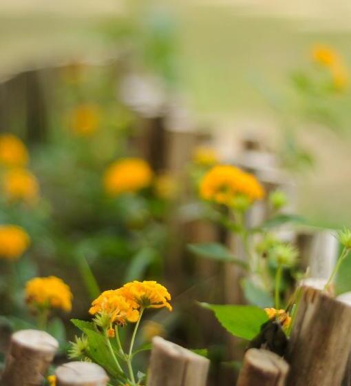 בית מלון כפרי Vida Do Mar