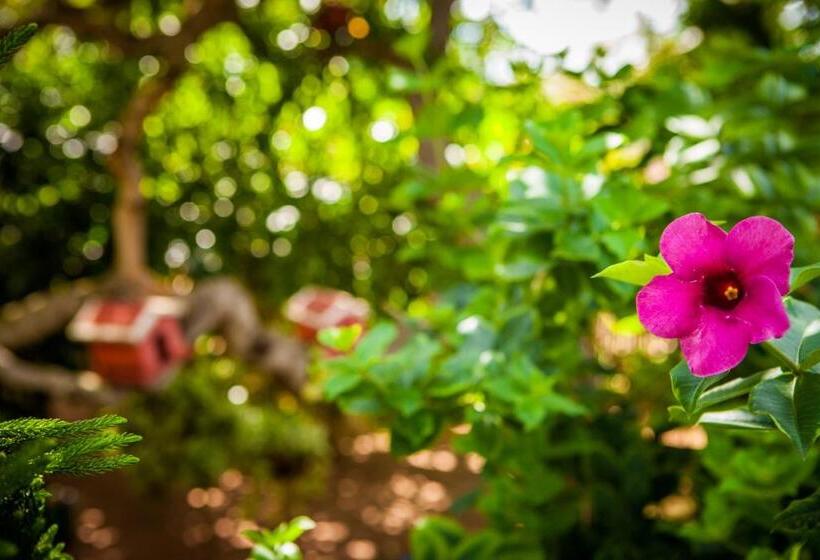 בית מלון כפרי Vida Do Mar