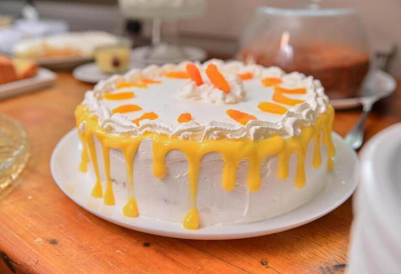 호텔 Terras Da Finlandia