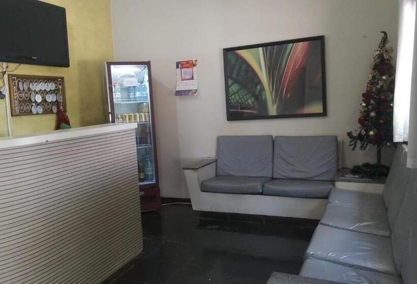 Отель Vitoria Andradina