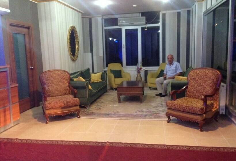 Отель Gold Vizyon