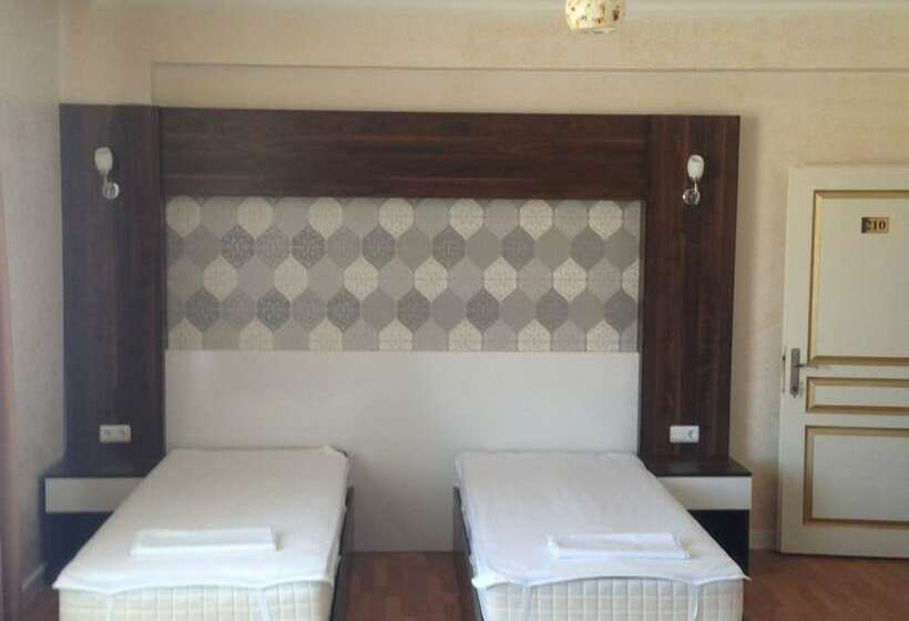 Отель Gold Vizyon