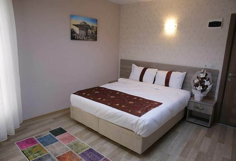 Отель Gold Vizyon