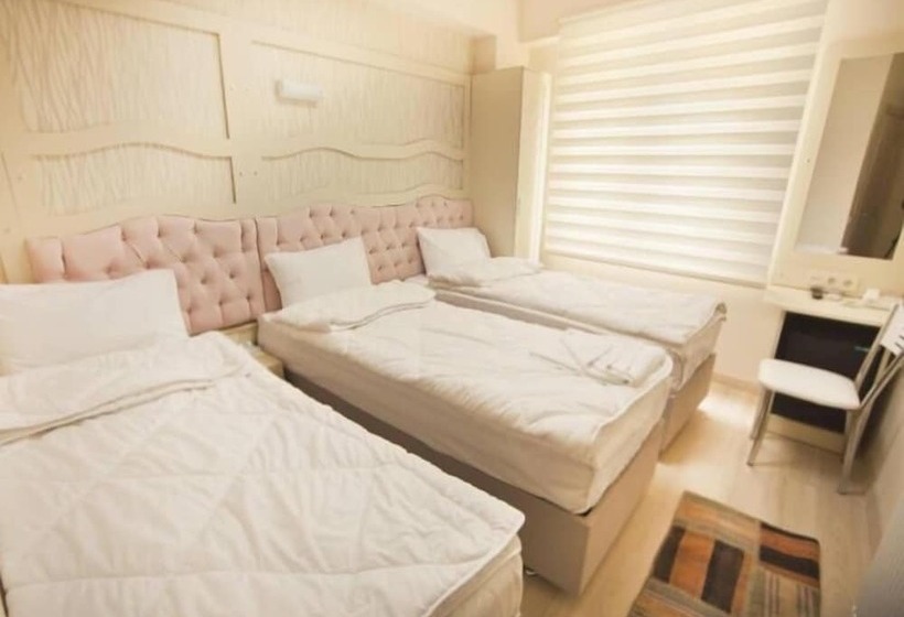 Отель Gold Vizyon