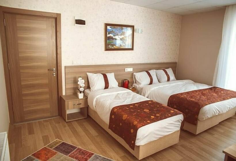 Отель Gold Vizyon