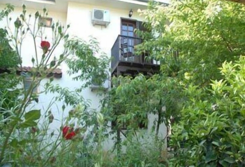 Отель Misafir Evi