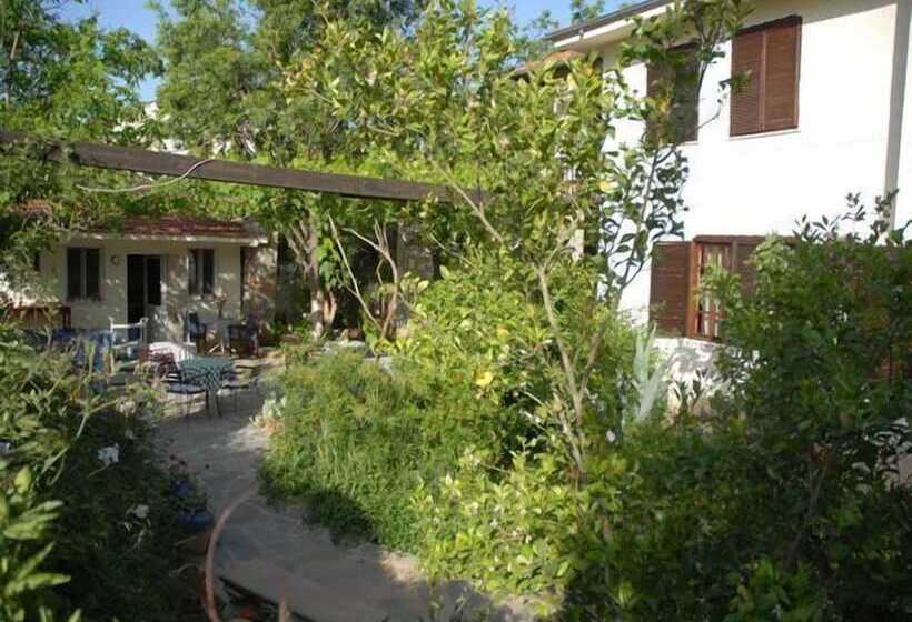 Отель Misafir Evi