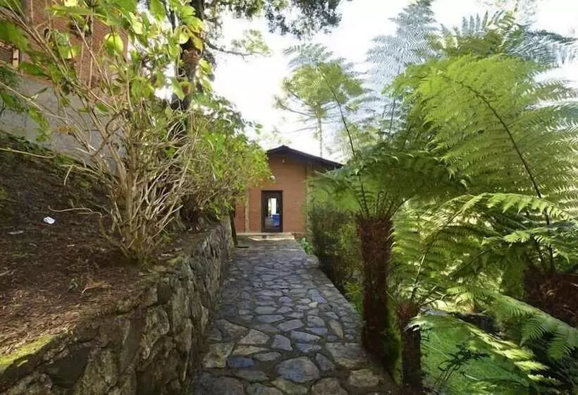 ホテル Pião Mineiro
