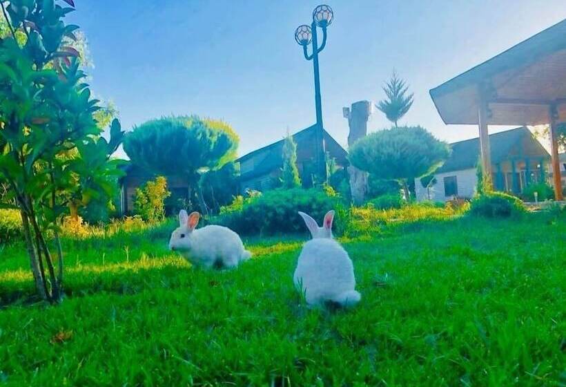 Kalipso Park Butik Otel