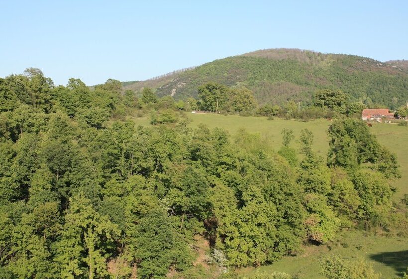 Kaltur Boutique Otel