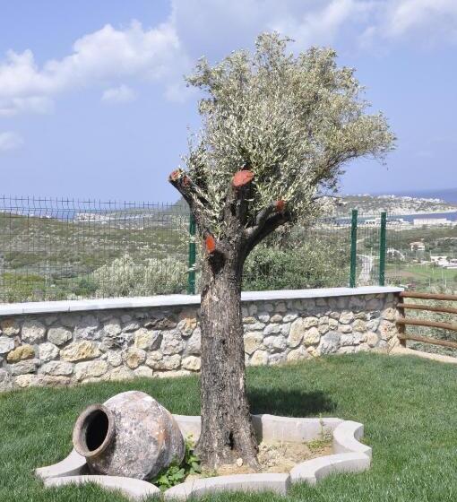 Taş Avlu Butik Otel