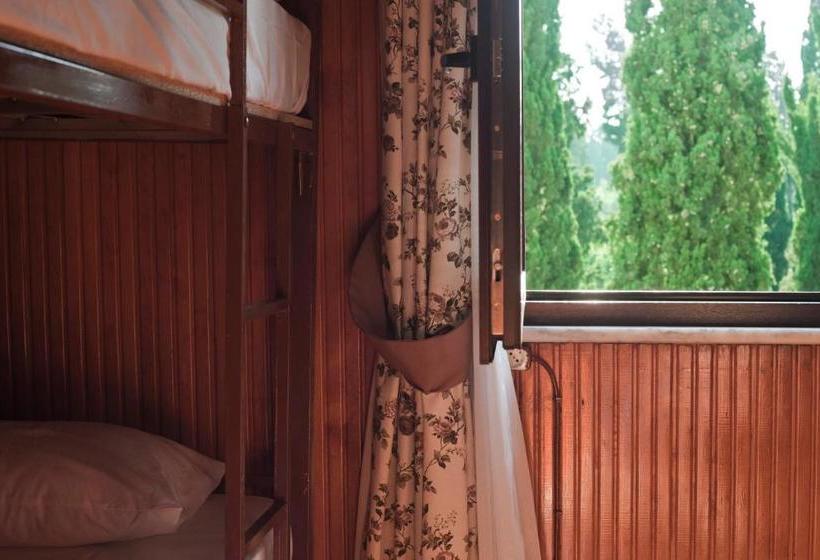 Veni Vidi Dormi  Hostel