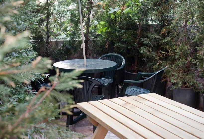 Veni Vidi Dormi  Hostel