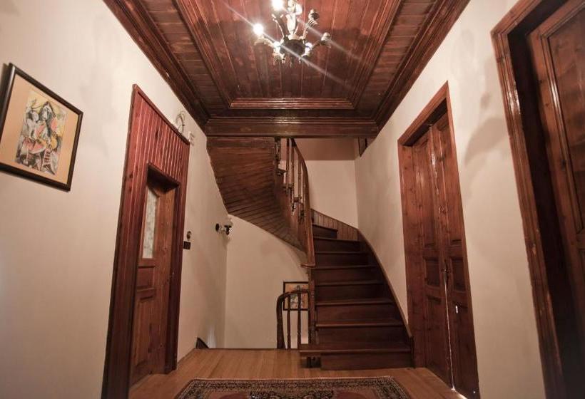 Veni Vidi Dormi  Hostel