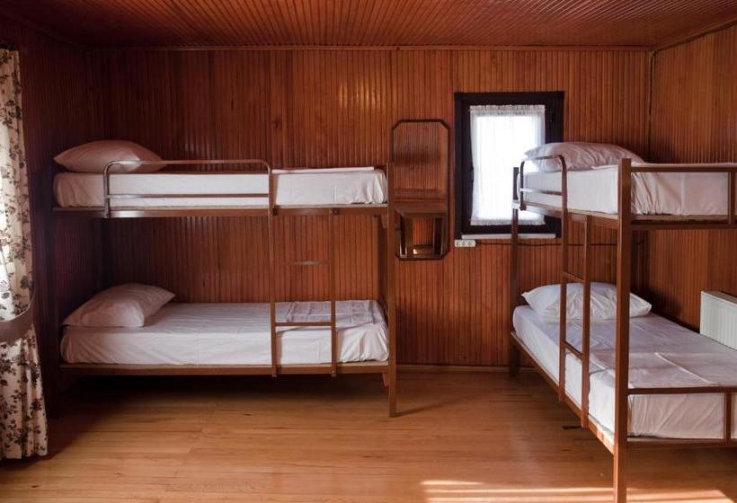 Veni Vidi Dormi  Hostel