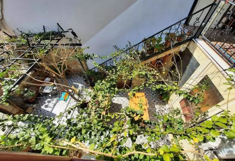 تختخواب و صبحانه Ali Baba's House