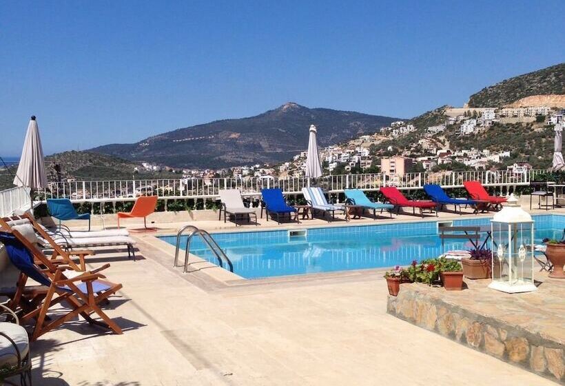 تختخواب و صبحانه Lavender S Lodge