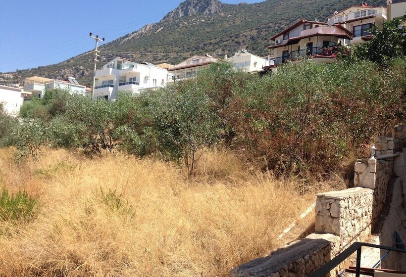 تختخواب و صبحانه Lavender S Lodge