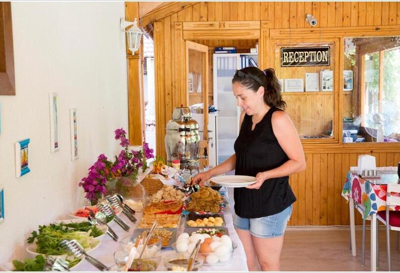 בית מלון כפרי Ayka