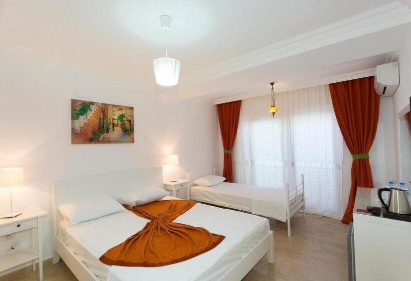 בית מלון כפרי Ayka