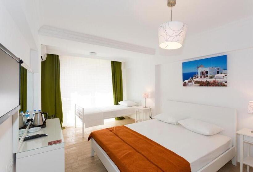 בית מלון כפרי Ayka