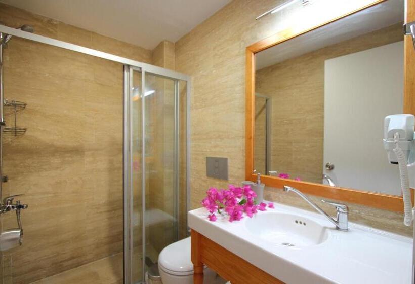 בית מלון כפרי Ayka