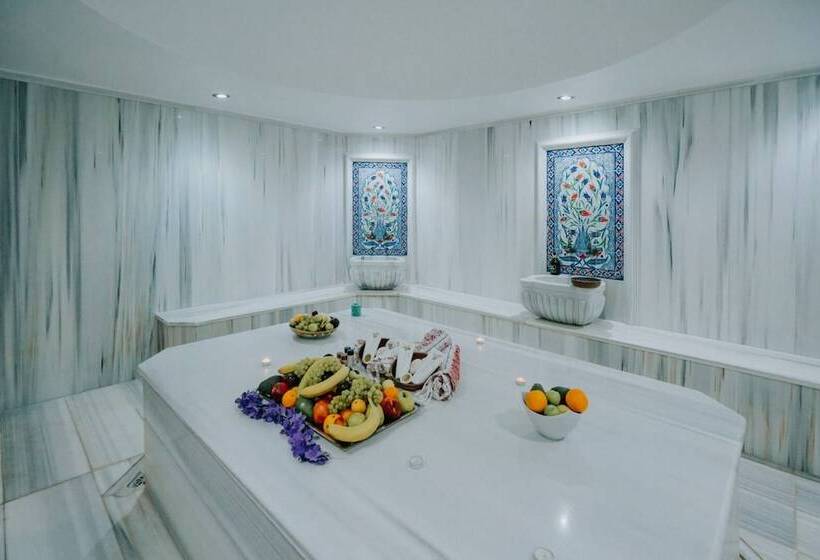 酒店 Ener Old Castle Resort