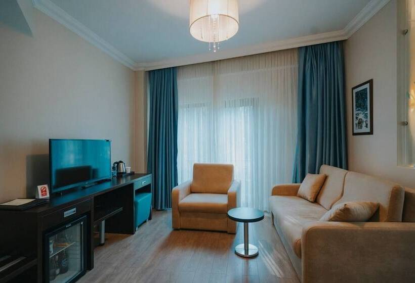 酒店 Ener Old Castle Resort