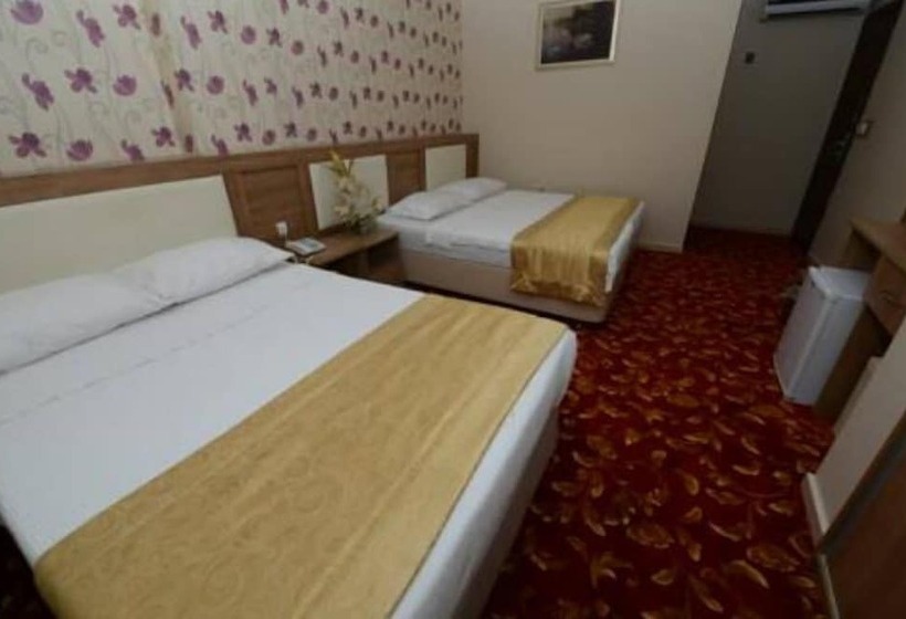 בית מלון כפרי Grand Onur