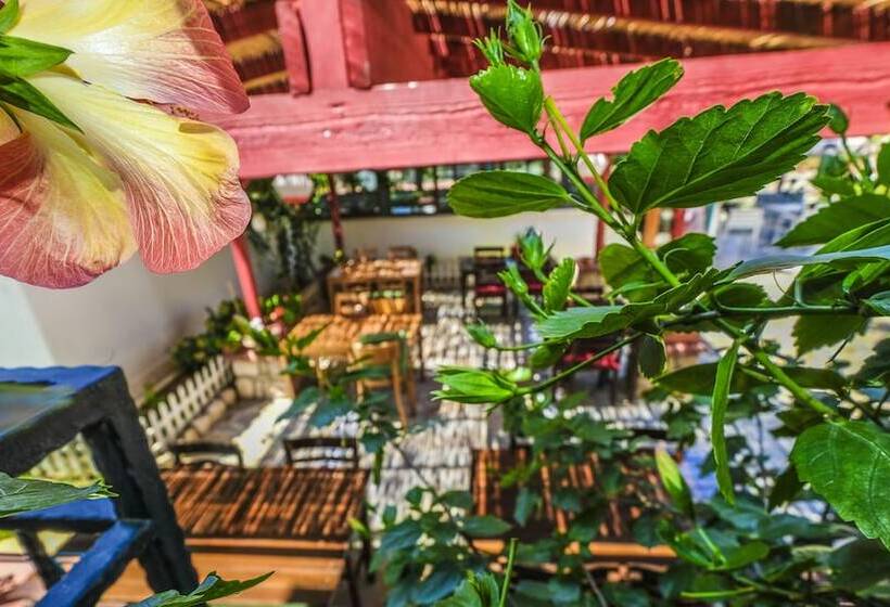 Отель Karaburun Konak