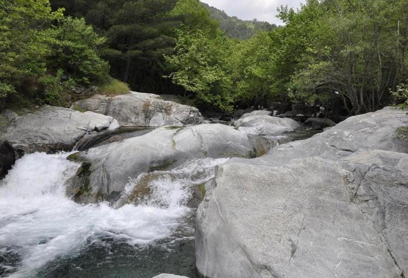 فندق Misanli Pension