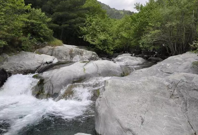 ホテル Misanli Pension