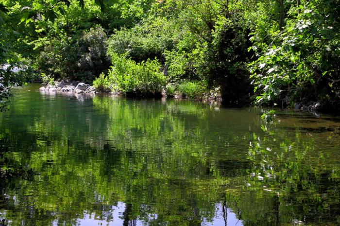 فندق Misanli Pension