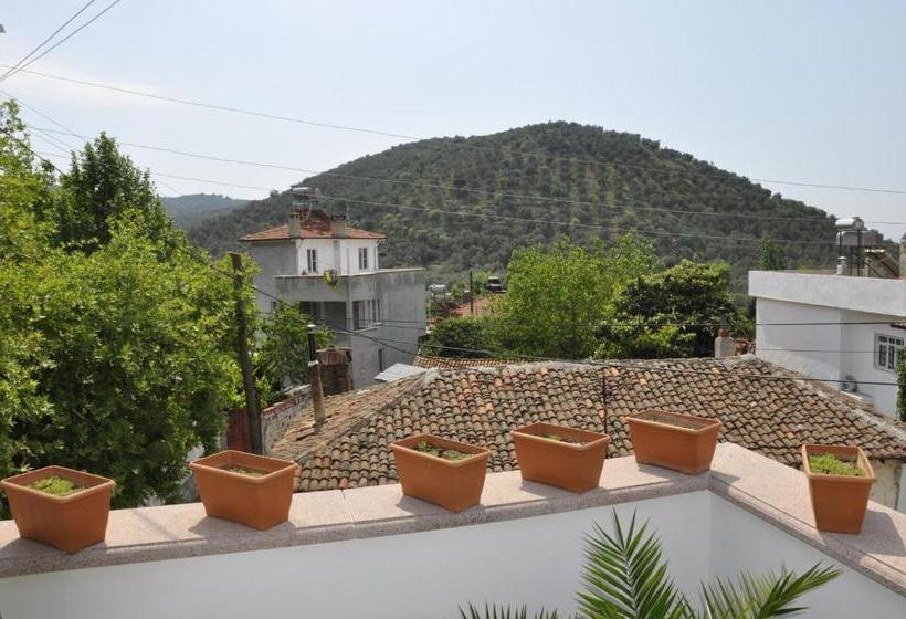 בית מלון כפרי Misanli Pension