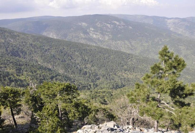 בית מלון כפרי Misanli Pension