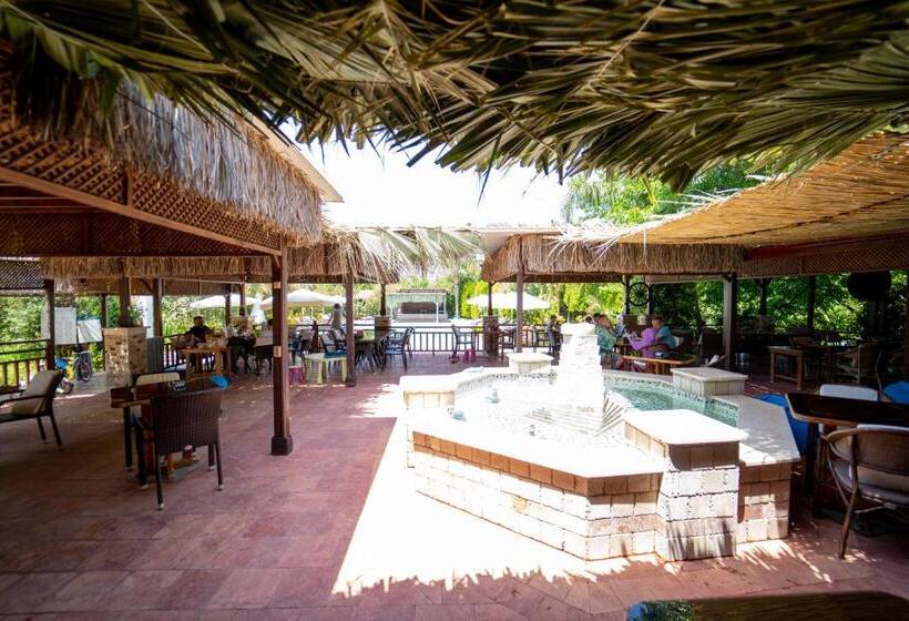 تختخواب و صبحانه Azur