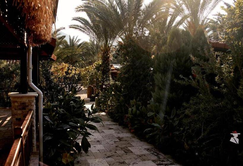 تختخواب و صبحانه Azur