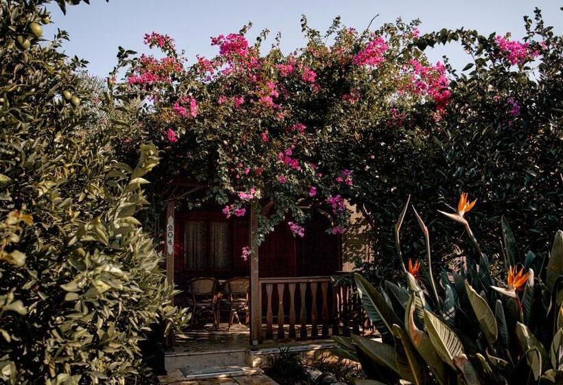 تختخواب و صبحانه Azur