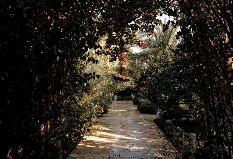 تختخواب و صبحانه Azur