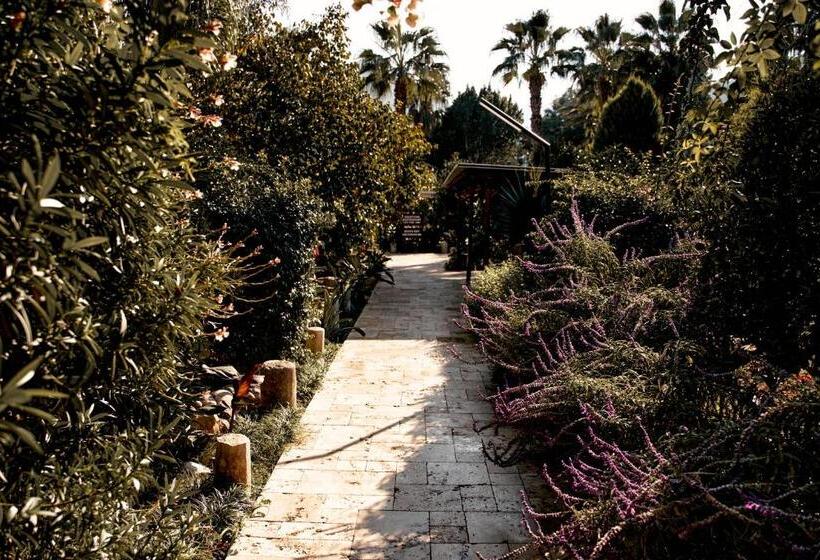 تختخواب و صبحانه Azur