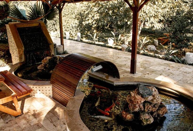 تختخواب و صبحانه Azur