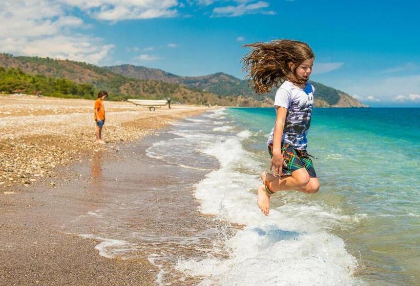 تختخواب و صبحانه Azur