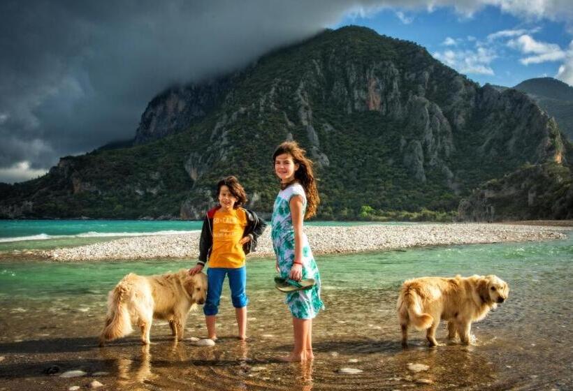 تختخواب و صبحانه Azur