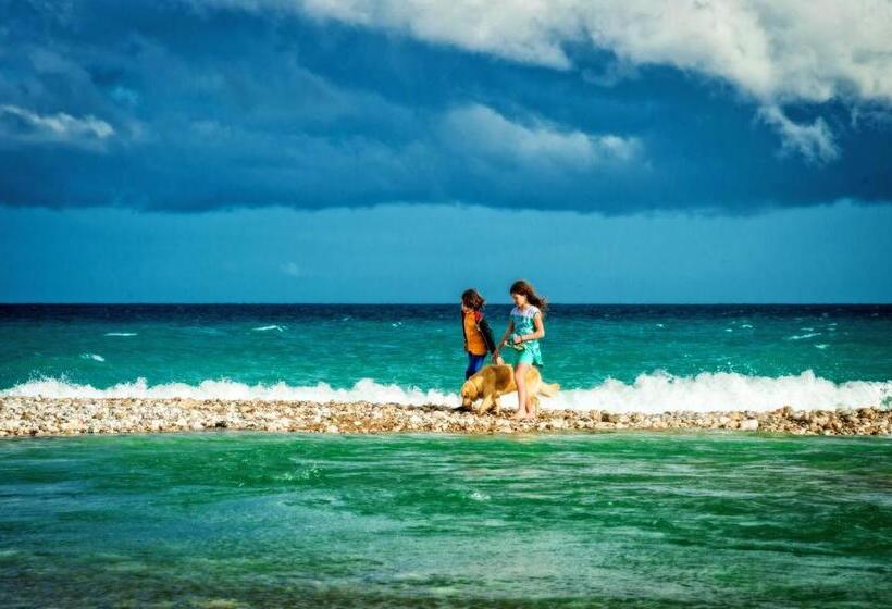 تختخواب و صبحانه Azur