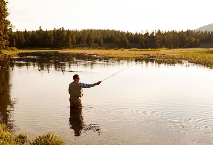 Отель Headwaters Lodge & Cabins At Flagg Ranch