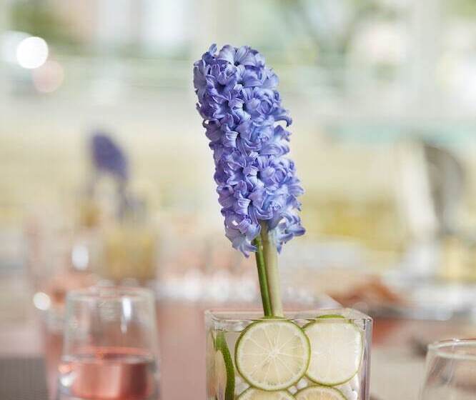 Elysion Place Hotel Causeway Bay