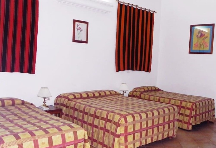 ホテル Nuevo Cantalloc