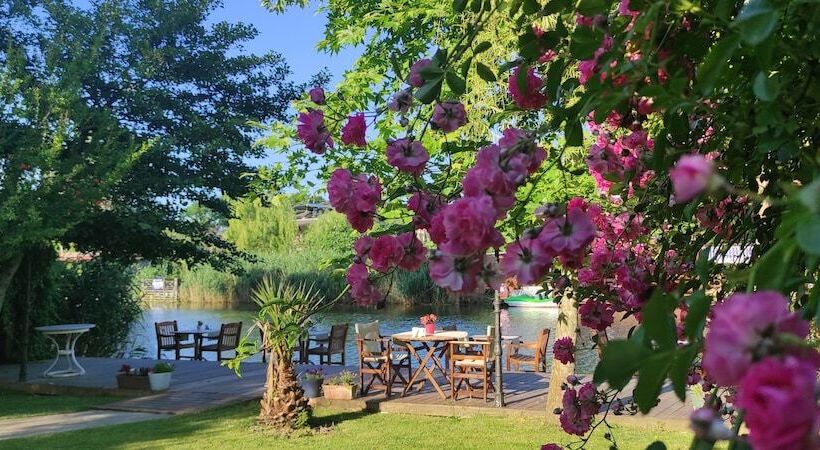 ホテル Tranquilla River Lodge   Adults Only