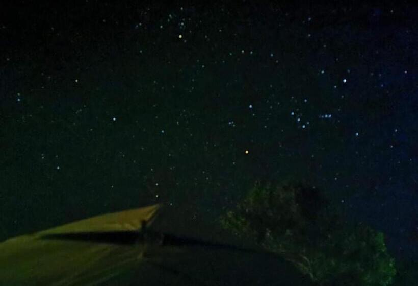 Khao Sok Hill Top Resort