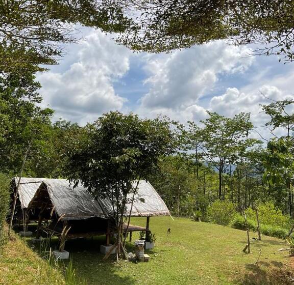 Khao Sok Hill Top Resort